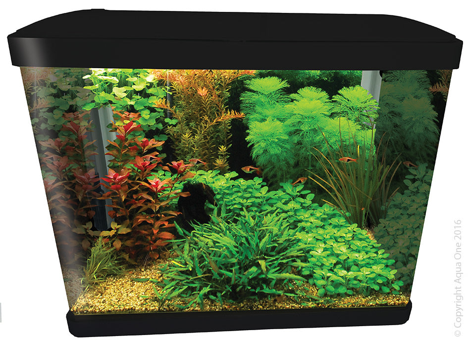 Aqua one aquarium sale