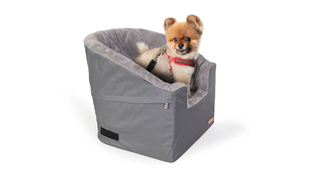 Booster Toy Pet Bucket Booster Seat Pet Bucket Booster Seat