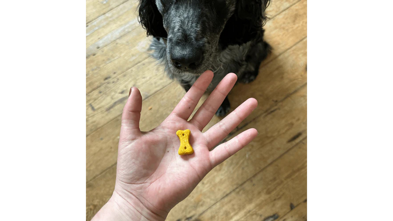 Beco Dog Treats Peanut 70g