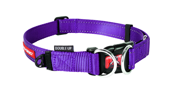 EzyDog Double Up Collar Purple