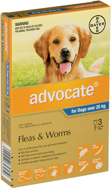 Advocate For X-Large Dogs 25KG+ 3 Pack
