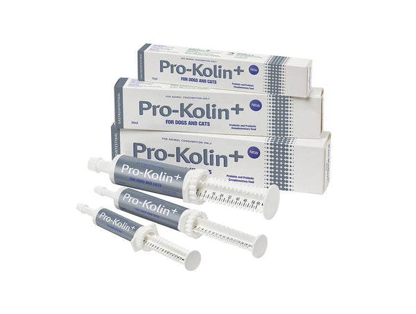 Pro-Kolin+ Probiotic Paste 15ml
