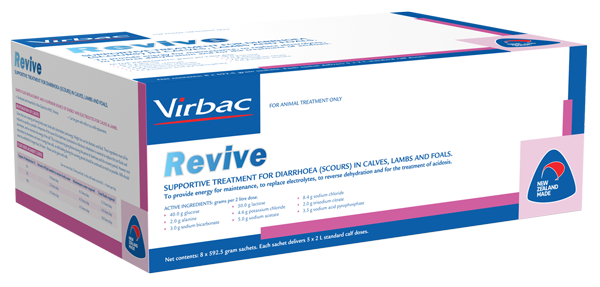 Revive Electrolyte Powder 40 Pack