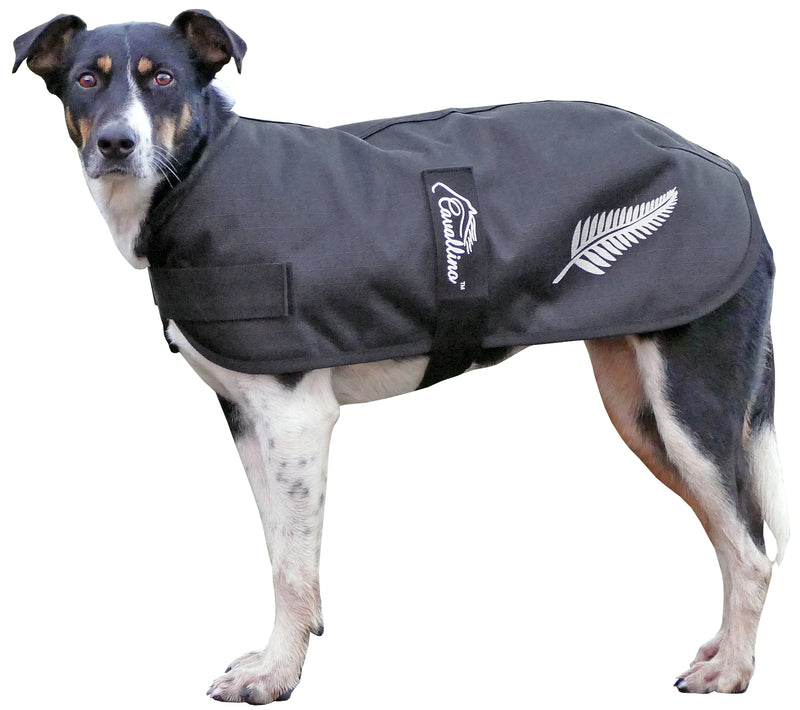 Cavallino Silver Fern Dog Coat
