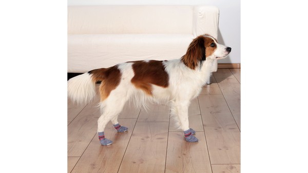 Trixie Dog Socks Non-slip 2 Pack -M/L