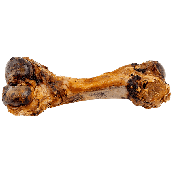 Beef Clod Bone Large Single