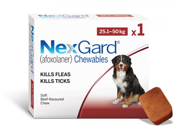 Nexgard flea outlet chewables