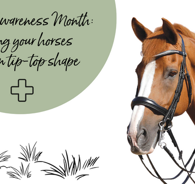 Dental Awareness Month: Keeping your horses teeth in tip-top shape