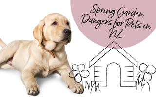 Spring Garden Dangers for Pets in NZ