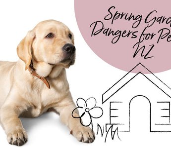 Spring Garden Dangers for Pets in NZ