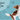 The Ultimate Guide to Springtime Pet Care in NZ
