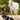 Poseidon Animal Health
