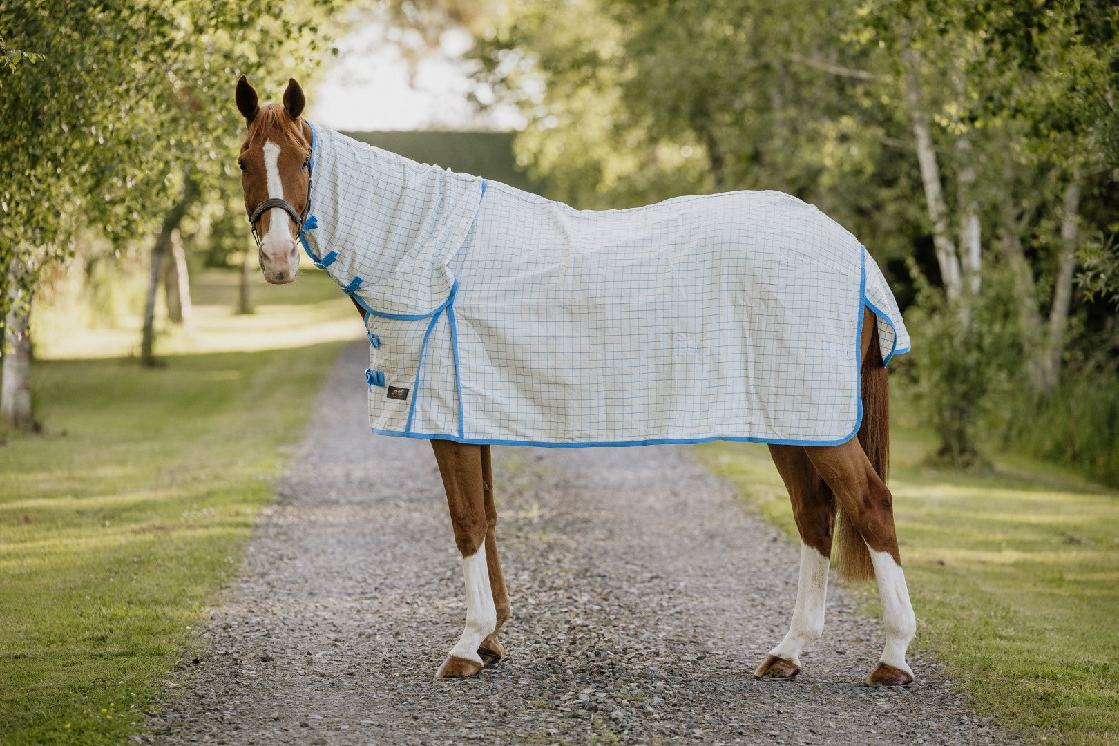 Cavallino Summer Sheet Combo