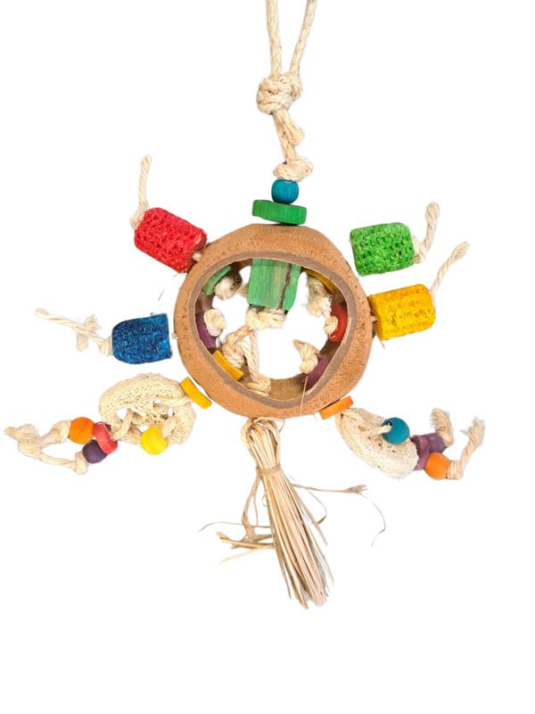 Avi One Coconut Dreamcatcher Bird Toy Multi 43x23cm