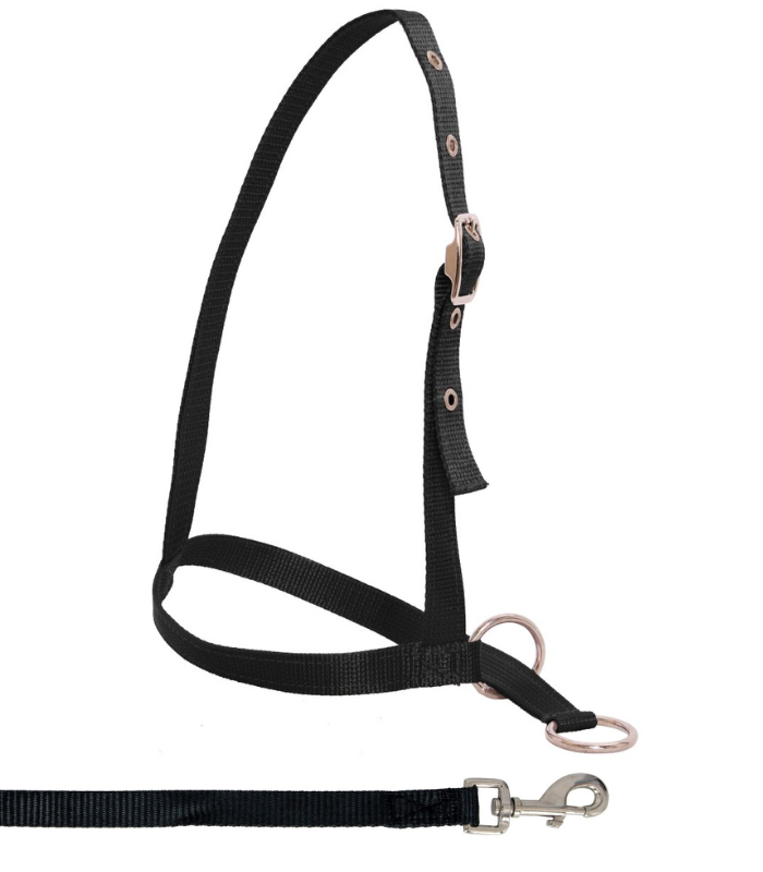 Flair Nylon Leading Calf Halter & Lead Set