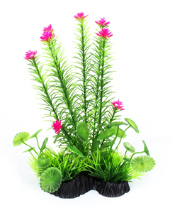 AQ Plant Floral Spike 25cm