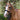 'Arcadia' Luxury Leather Bridle (Cavesson)