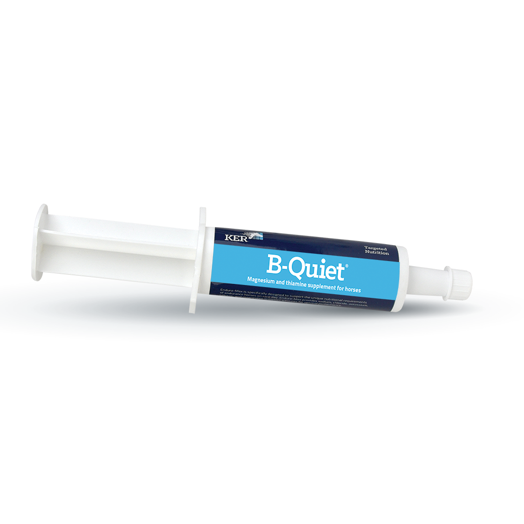 KER B-Quiet Paste 30G