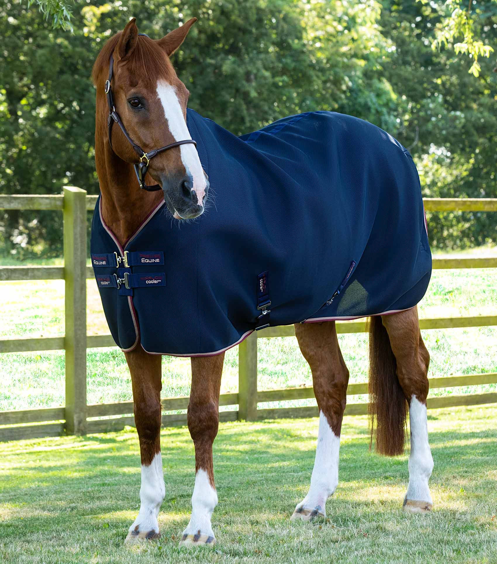 Premier Equine Airflow Cooler Rug