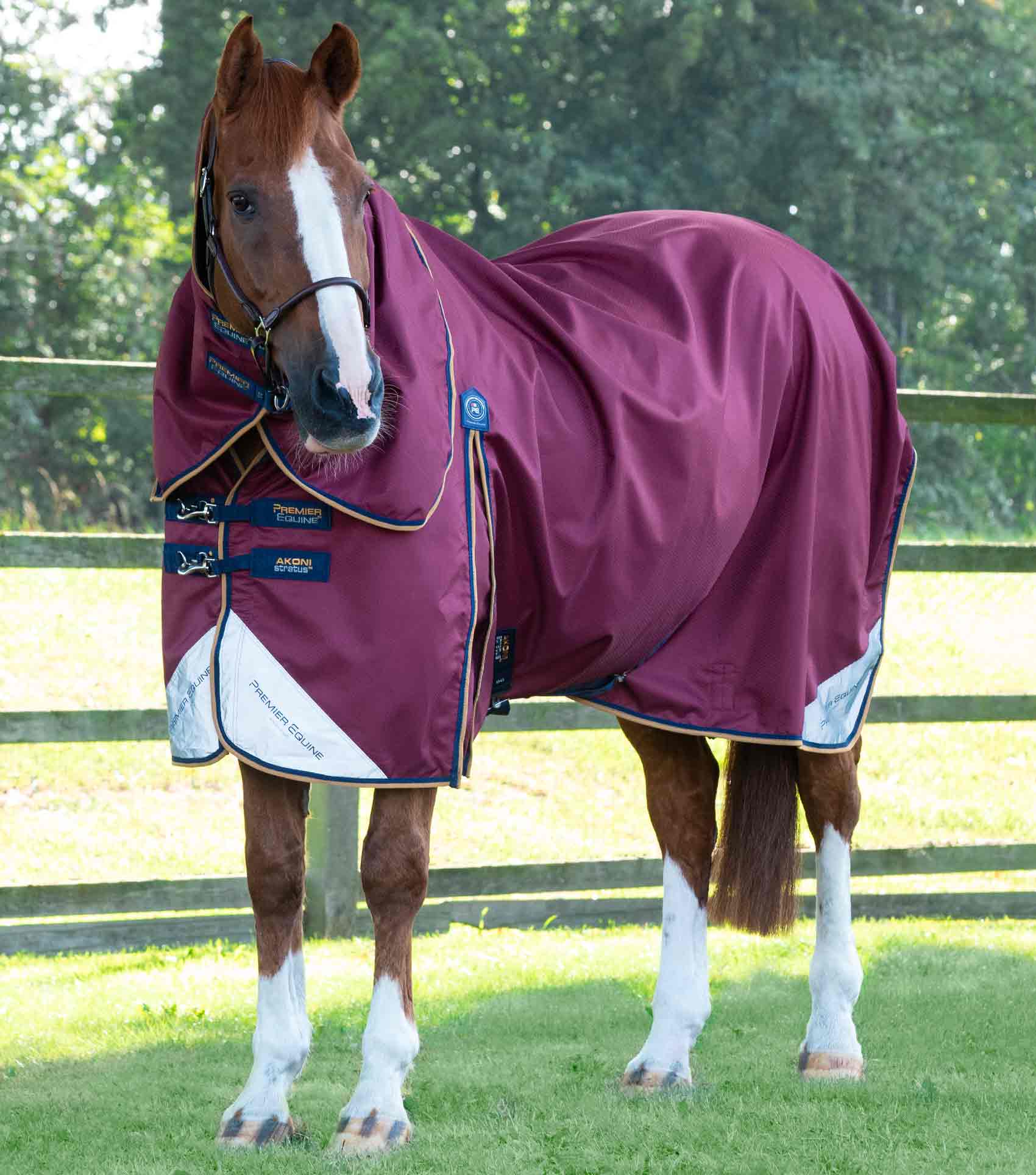 Premier Equine Akoni 0g Turnout Rug with Classic Neck Cover