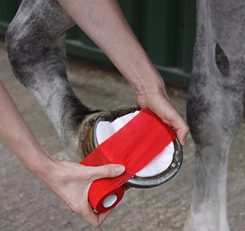 Robinsons Animalintex Hoof Shaped Poultice 3 Pack