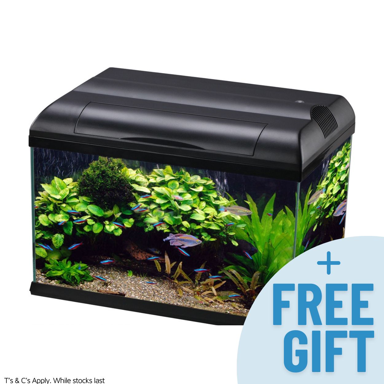 Aqua One Ecostyle 61 Aquarium & Cabinet Combo Black 70L - Fish Tanks & Cabinets 