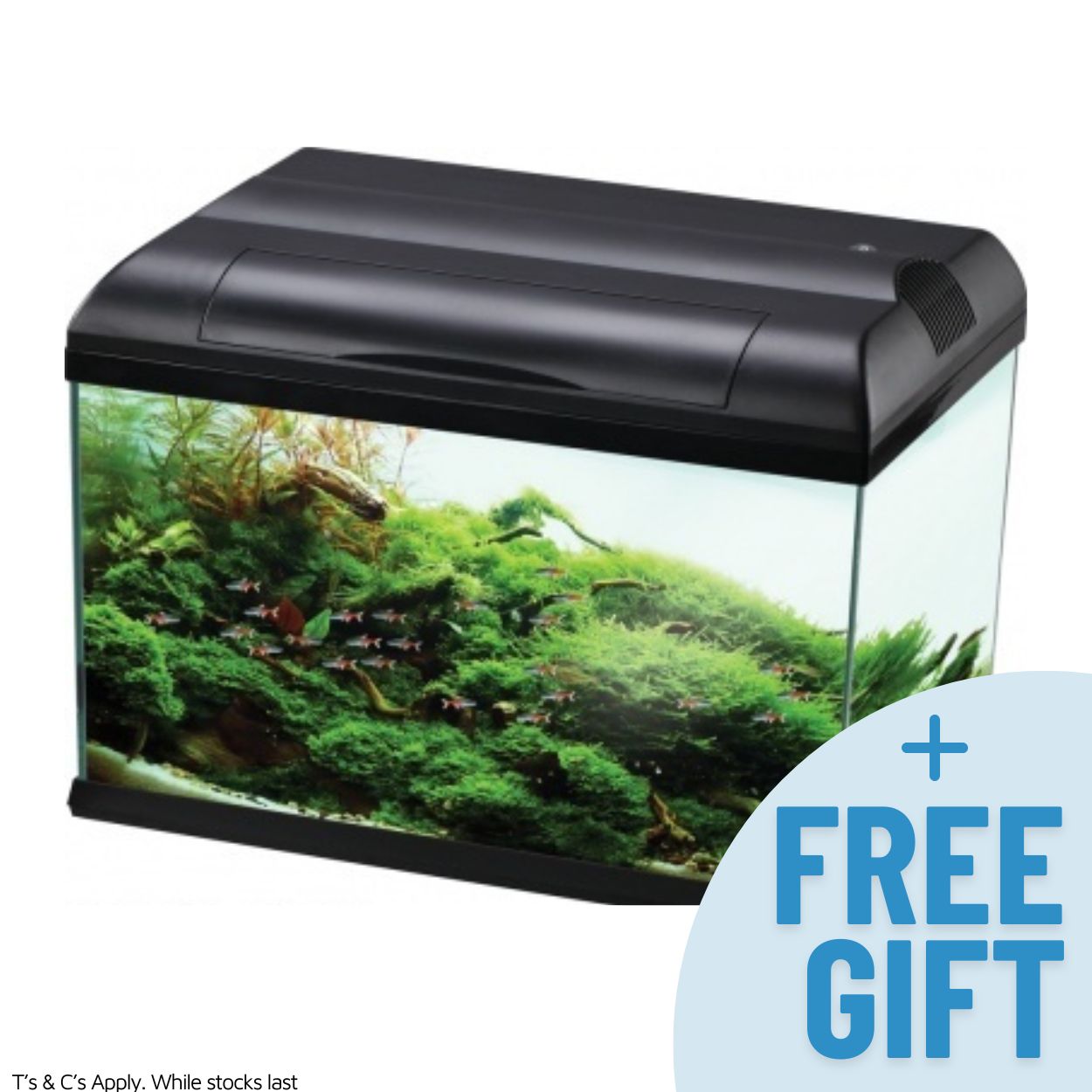 Aqua One Ecostyle 61 Aquarium Black 70L - Fish Tanks & Cabinets 