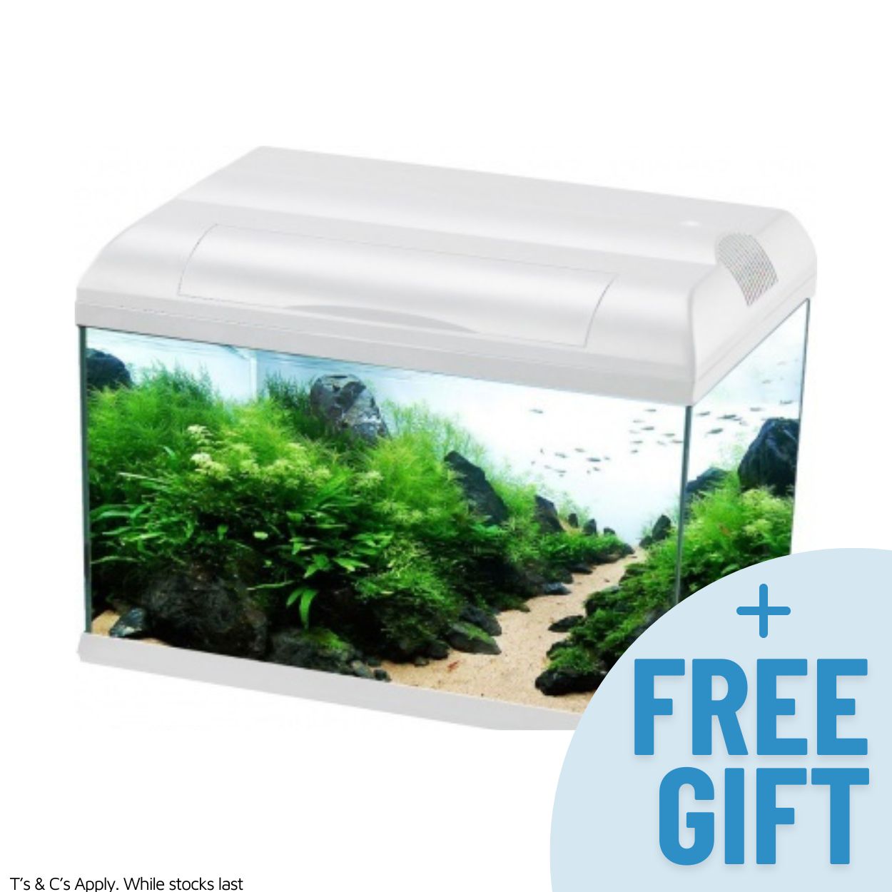 Aqua One Ecostyle 47 Aquarium White 38L - Fish Tanks & Cabinets 