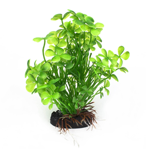 AquaWorld Plant Irish Clover 10cm - Fish Tank Decorations 
