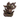AquaWorld Tree Face Leaning - Fish Tank Decorations 