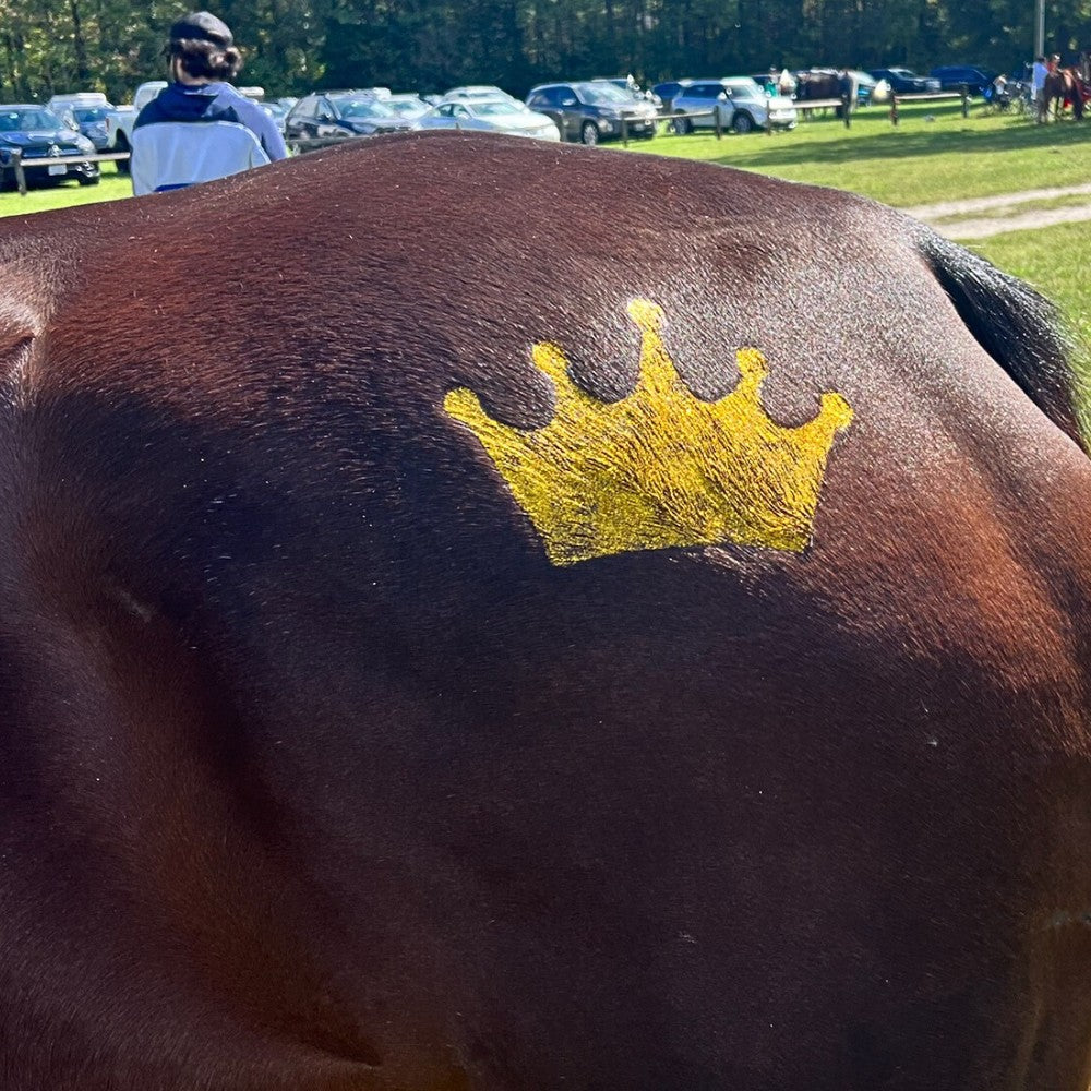 Armor Equestrian Stencil Kit - Equine Grooming - Hearts in Magenta-Stars in Silver-Crown in Gold-Lightning Bolt in Champagne-Flame in Red