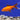Assorted Comet Goldfish - Live Fish & Plants 