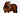 'Aurelie' Flat Leather Bridle (Hanoverian) - Equine Horse Wear - Black / Pony