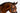 'Aurelie' Flat Leather Bridle (Hanoverian) - Equine Horse Wear - Black / Pony
