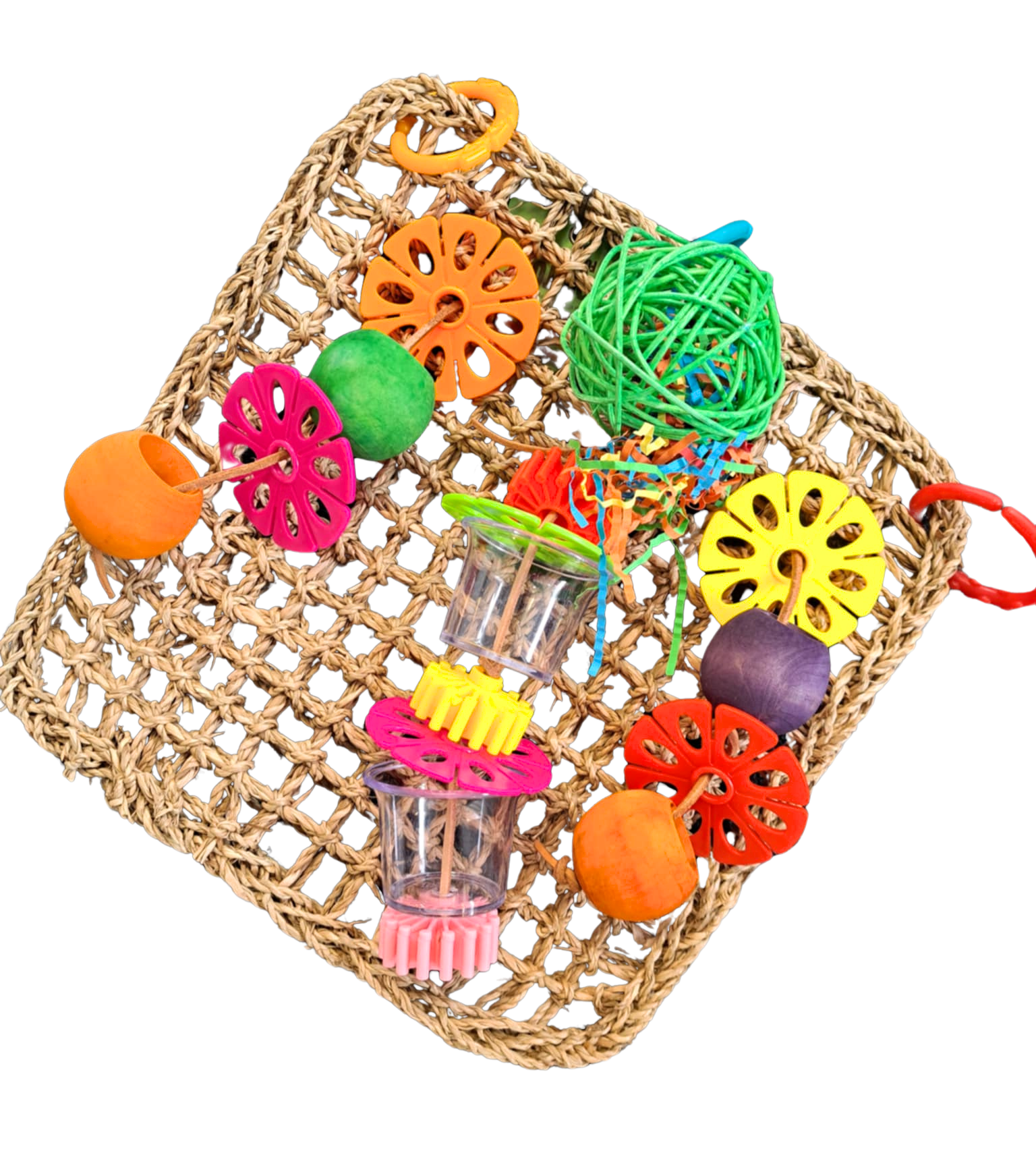 Avi One Foraging Wall Bird Toy Multi Colour - Bird Toys 