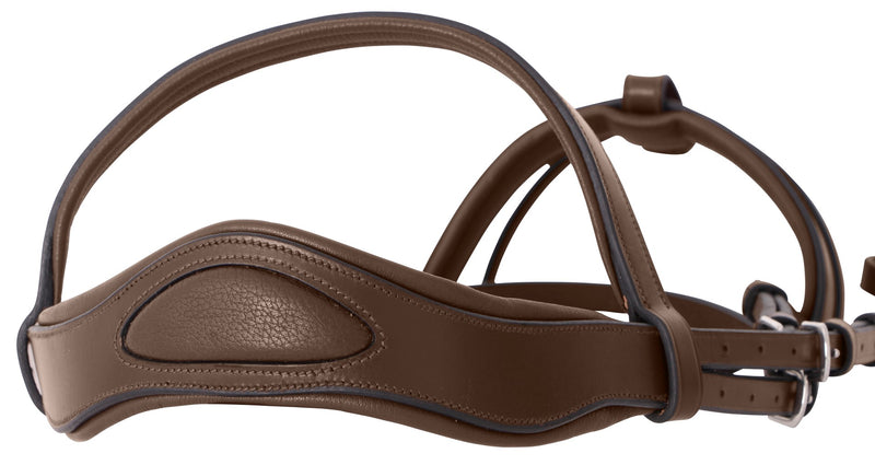 Platinum Signature Classic Bridle