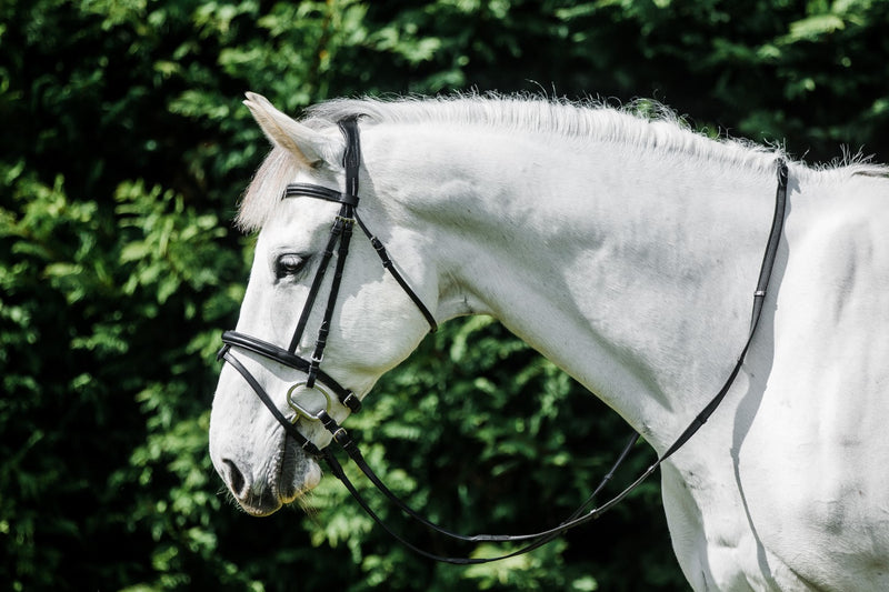 Cavallino Anatomical Raised Padded Bridle