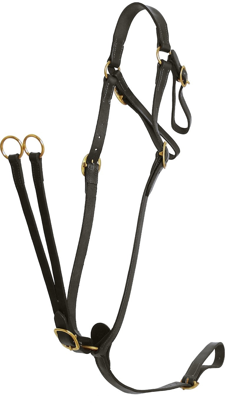 Flair Martingale Breastplate