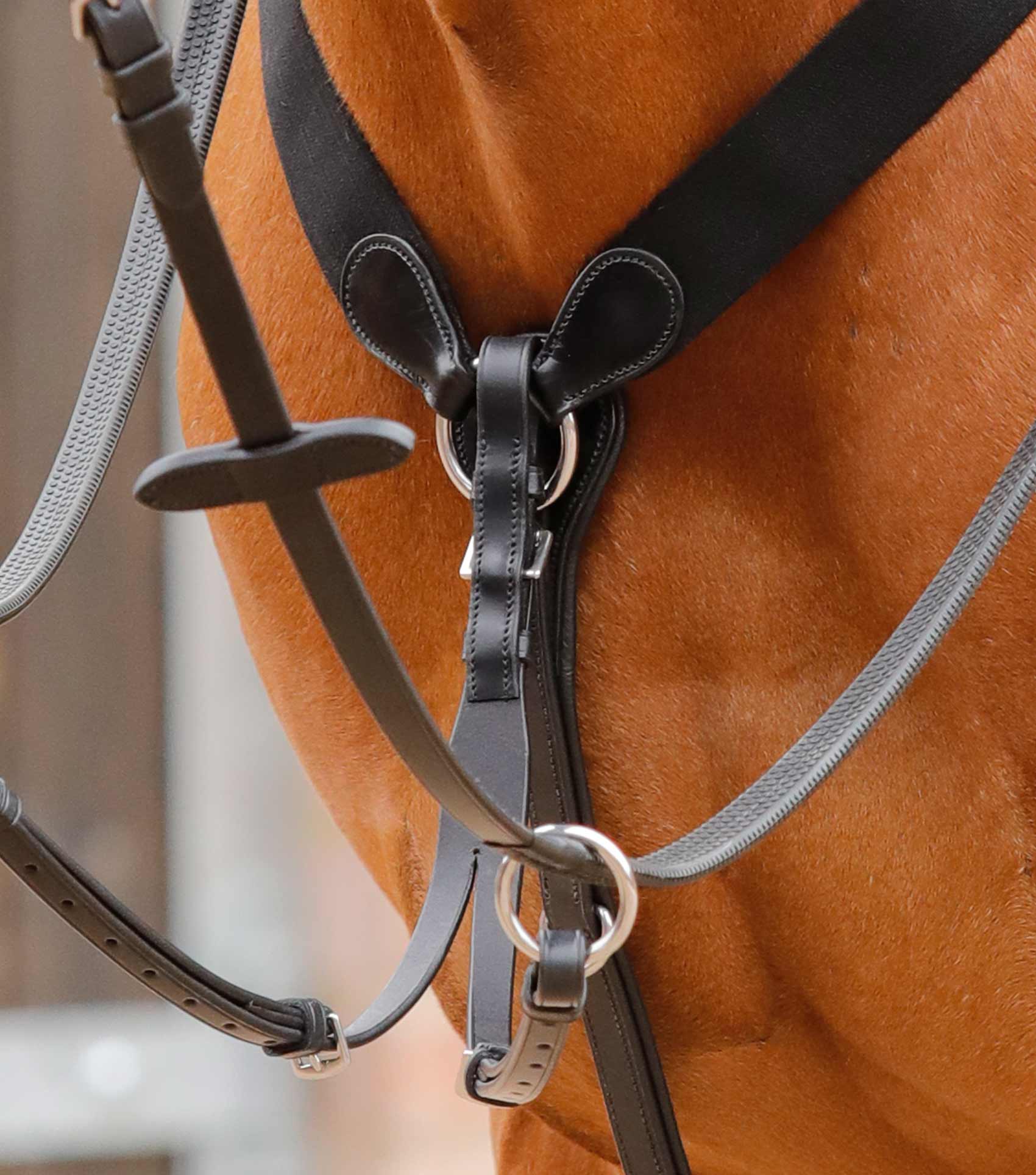 Premier Equine Baressa Elastic Jumping Breastplate