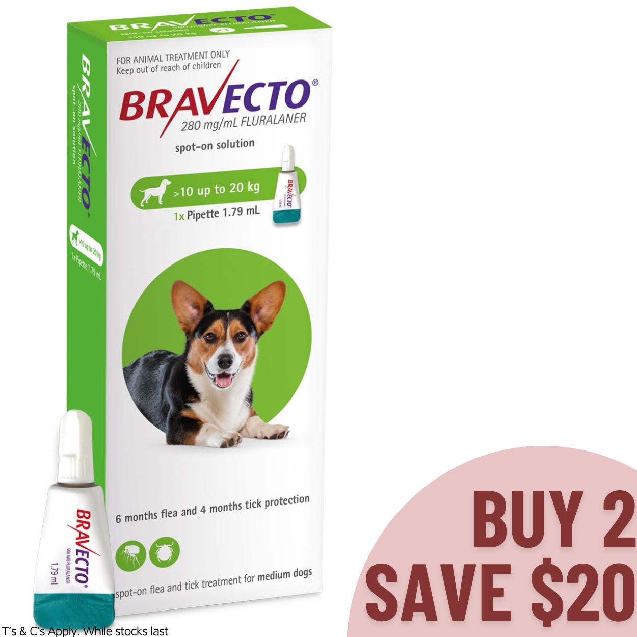 Bravecto Spot On Medium Dogs 10-20KG