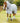 Premier Equine Bug Buster Fly Rug with Belly Flap