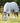 Premier Equine Bug Buster Fly Rug with Belly Flap