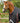 Premier Equine Buster 100g Turnout Rug with Snug-Fit Neck Cover