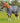 Premier Equine Buster 150g Turnout Rug with Classic Neck Cover