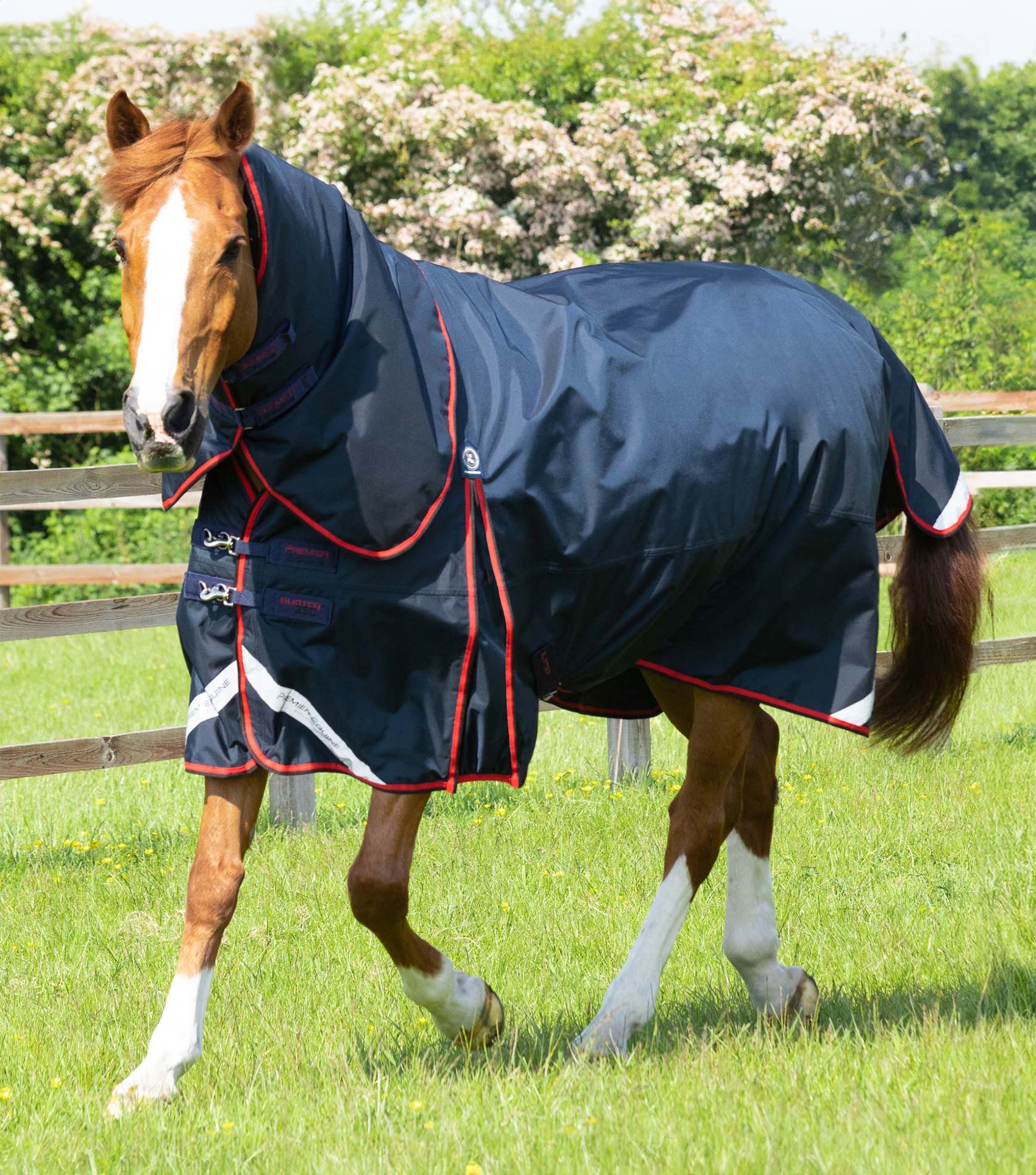 Premier Equine Buster 250g Turnout Rug with Classic Neck Cover