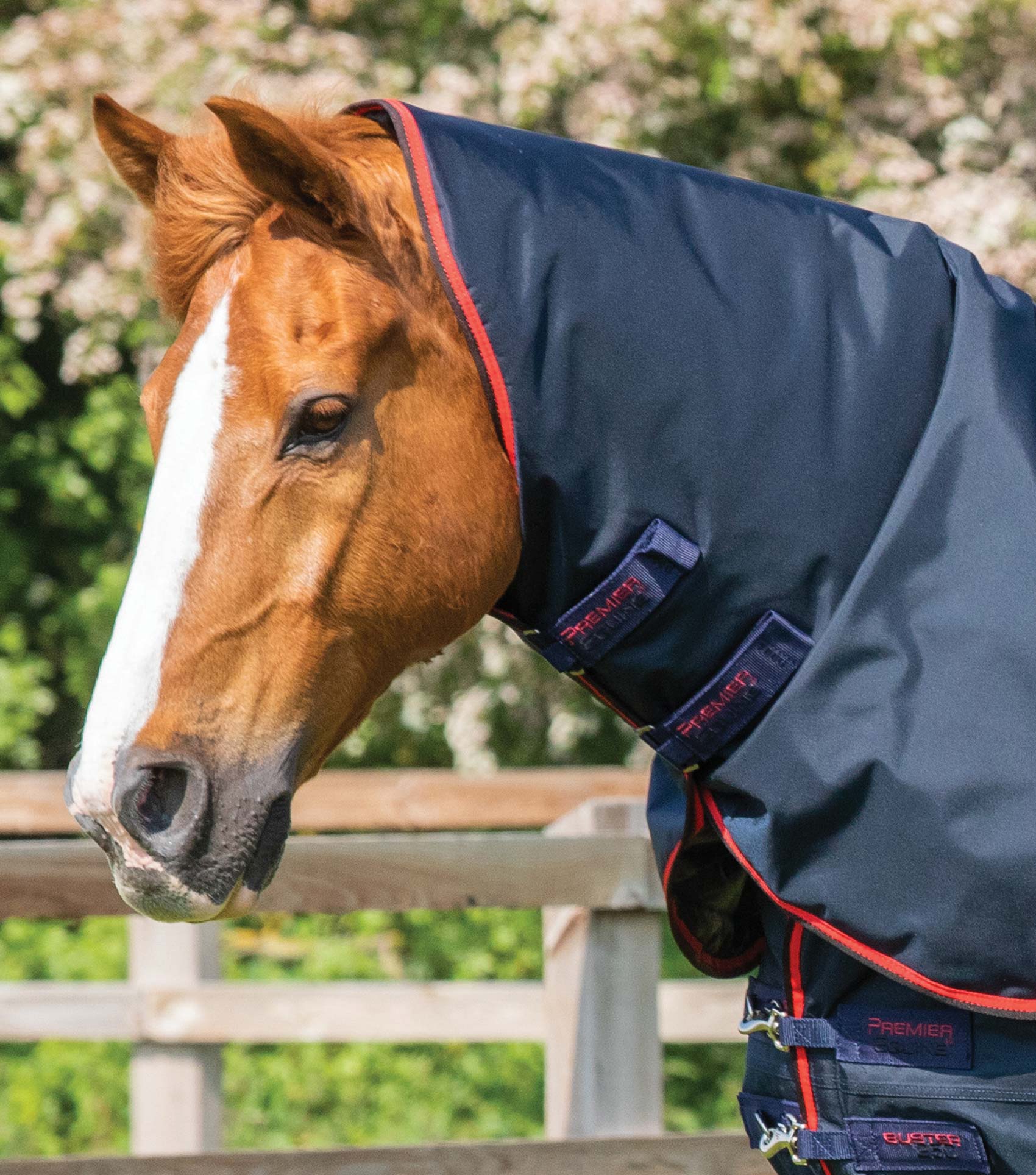 Premier Equine Buster 250g Turnout Rug with Classic Neck Cover