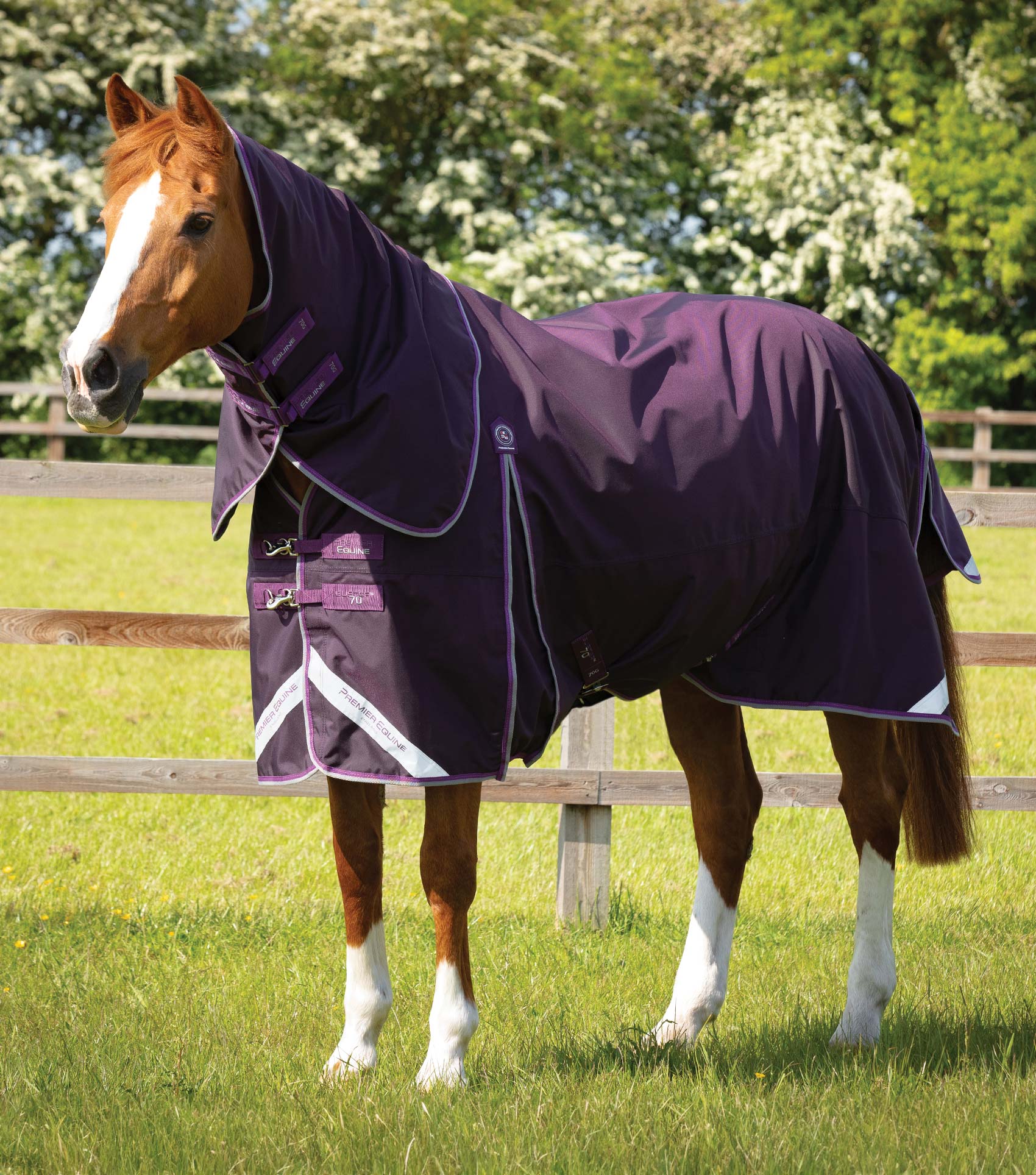 Premier Equine Buster 70g Turnout Rug with Classic Neck Cover