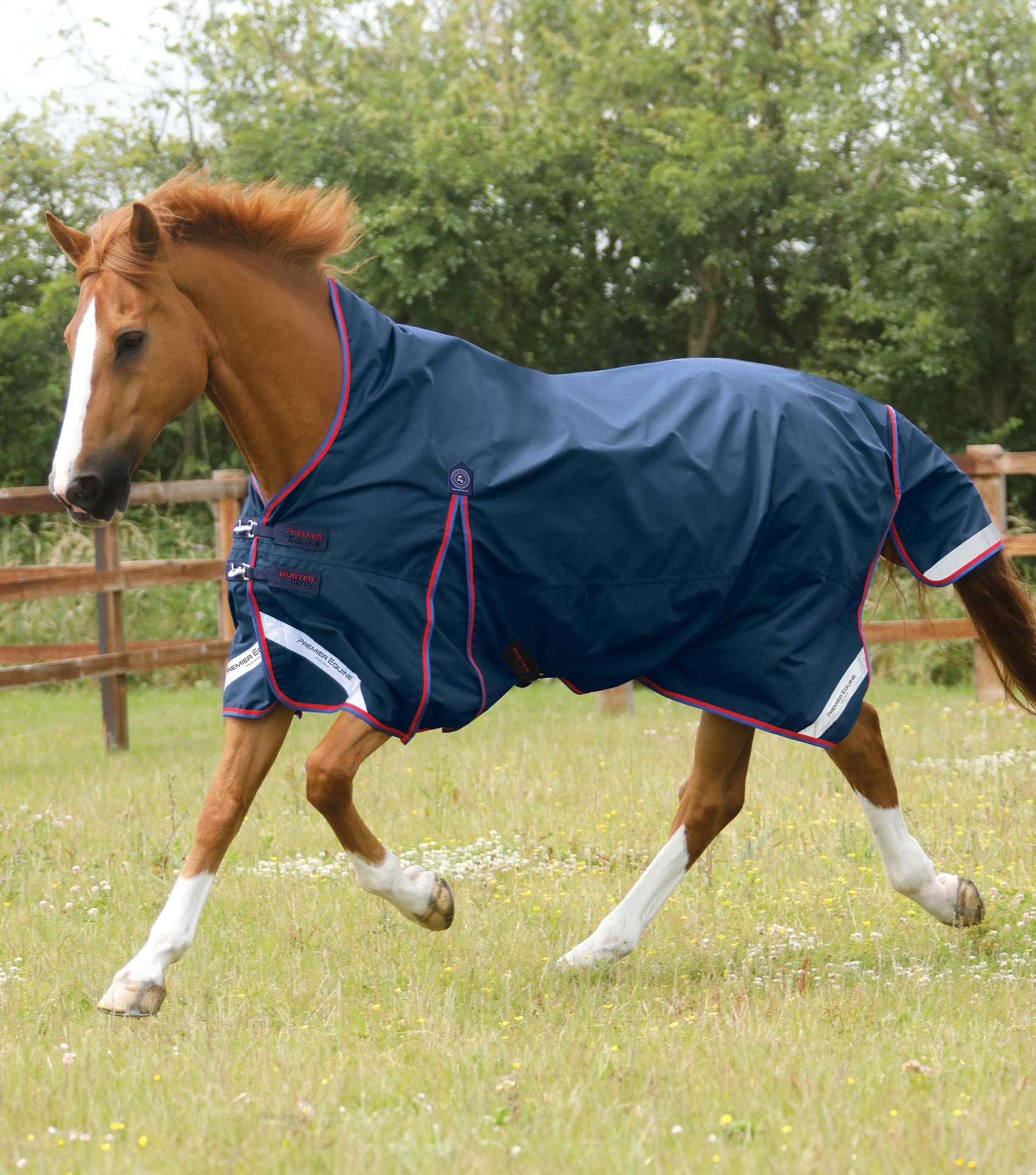 Premier Equine Buster Hardy 0g Half Neck Turnout Rug