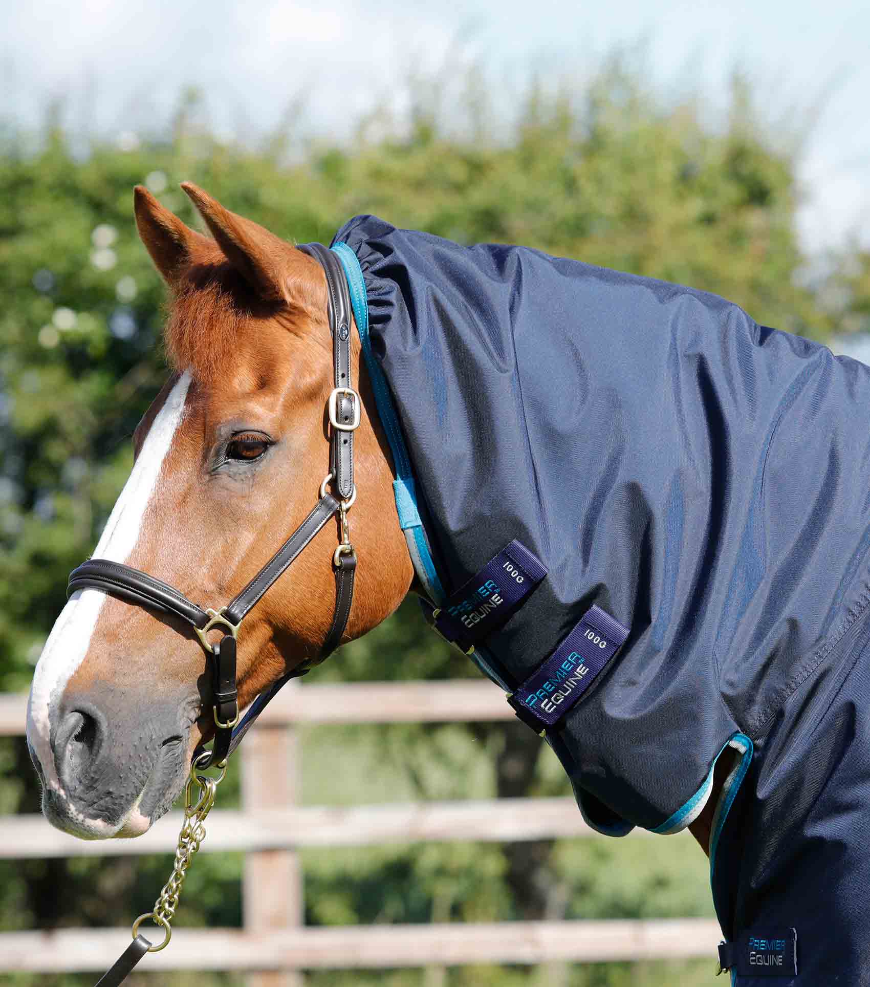 Premier Equine Buster Storm 100g Combo Turnout Rug with Snug-Fit Neck