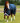 Premier Equine Buster Storm 200g Combo Turnout Rug with Snug-Fit Neck